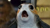 Porg-Alarm: Die lustigsten Bilder des knuffigen Wesens aus "Star Wars 8"