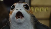 Was sind Porgs? Alle Infos zu den Star Wars-Tieren & wo man Porgs kaufen kann