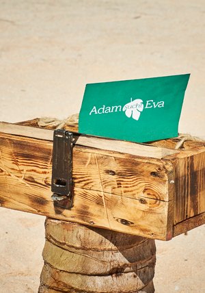 Adam Sucht Eva Wiederholung Adam Sucht Eva Wiederholung