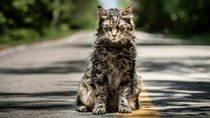 „Friedhof der Kuscheltiere“: FSK in Deutschland - wer darf ins Kino?