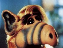 Alf Serie Stream Alf Serie Stream