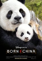 Poster Born in China