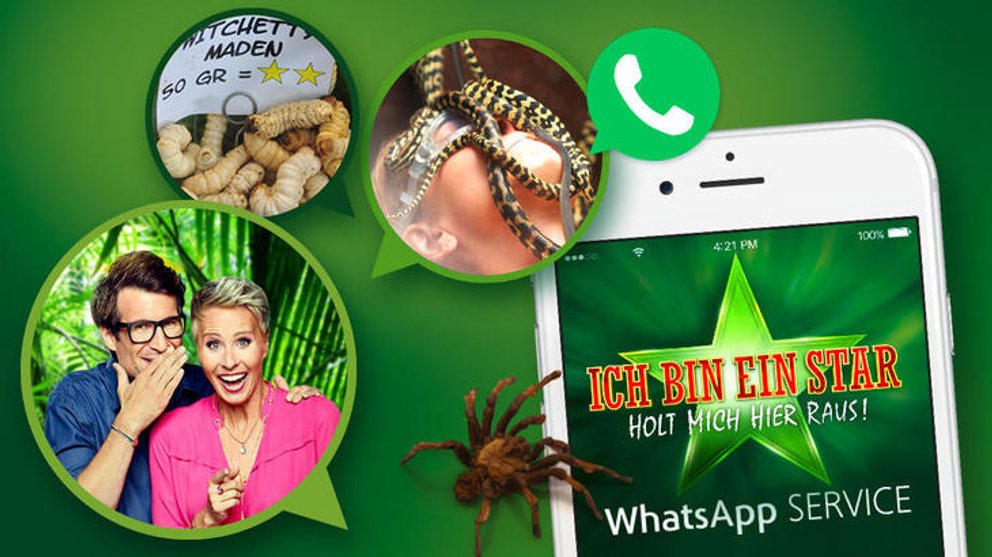 Dschungelcamp Wiederholung Online