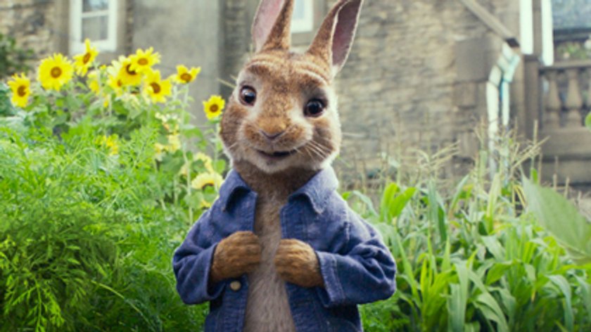 „Peter Hase“: Eltern fordern Boykott des Animationsfilms