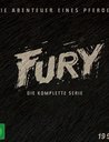 Fury - Die komplette Serie (19 DVDs) Poster
