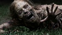 „The Walking Dead“-Macher verrät endlich, wie viele Menschen die Zombie-Apokalypse überlebt haben