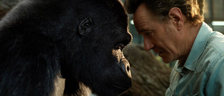 Der einzig wahre Ivan · Film 2020 · Trailer · Kritik · KINO.de