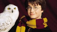 Welches „Harry Potter“-Haustier hättest du?