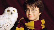 Welches „Harry Potter“-Haustier hättest du?