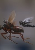 „Ant-Man and the Wasp“: Deutscher Kinostart, alle Trailer & Bilder
