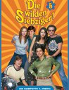 Die wilden Siebziger - Die komplette 5. Staffel (5 DVDs) Poster
