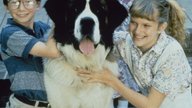 33 Jahre später: So sieht der „Ein Hund names Beethoven”-Cast heute aus