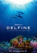 Poster Delfine