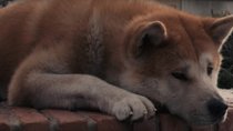 Filme auf Netflix zum Weinen: 23 wundervolle Tipps zum Unglücklichsein