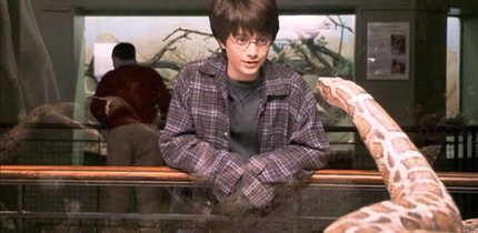 Hogwarts-Briefe und mehr: 10 Dinge, die viele „Harry Potter“-Fans falsch verstanden haben