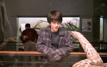 Verwirrung um Harrys Vater: 10 Dinge, die viele „Harry Potter“-Fans falsch verstanden haben