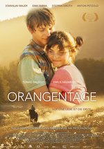 Poster Orangentage