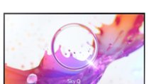 Sky Q auf Samsung TV sehen - So geht's!