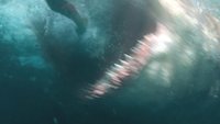 „The Meg“ Kritik: Trotz Statham wenig Biss, dafür viel Witz