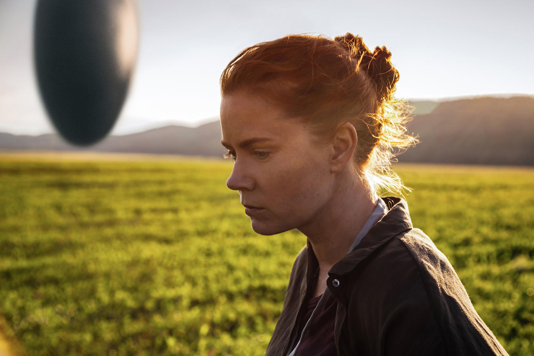 arrival-mit-amy-adams.jpg