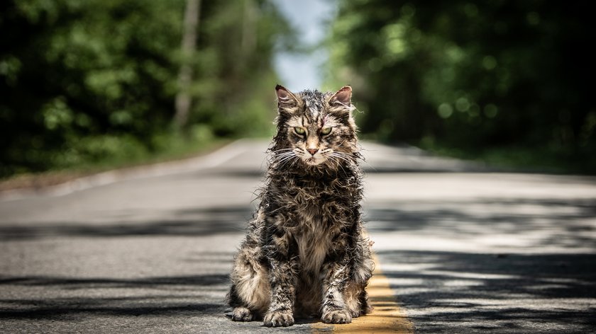 „Friedhof der Kuscheltiere 2“: Produzent hat Interesse an einem Prequel