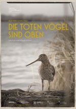 Poster Die toten Vögel sind oben