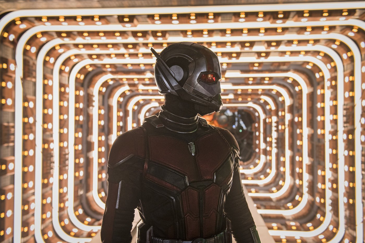 Ant-Man-and-the-Wasp-Avengers-Endgame-Quantum-Realm.jpg