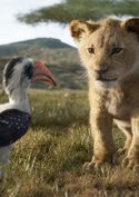 „Der König der Löwen“-Kritik: 5 Gründe, warum sich ein Kinobesuch lohnt
