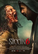 Poster Siccin 6