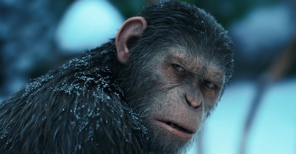 Planet der Affen 4 Survivial Caesar Andy Serkis