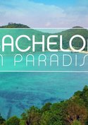 Bachelor in Paradise