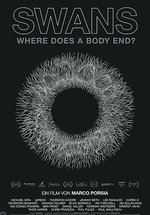 Poster Swans - Where Does a Body End?