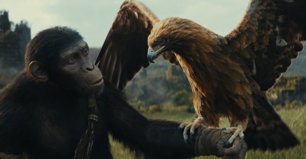 der Affen New Kingdom · Film 2024 · Trailer · Kritik