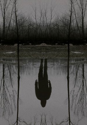 the stranger the outsider the stranger the outsider