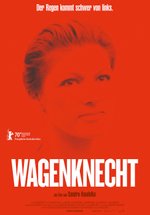 Poster Wagenknecht