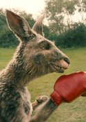 „Känguru-Chroniken" und Co. so schlecht wie nie: Deutsche Kinos brechen zusammen