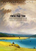 Poster The Wild Pear Tree