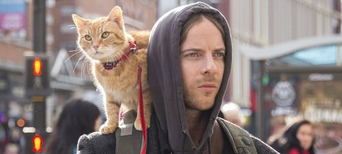 Ein Geschenk Von Bob Film 2021 Trailer Kritik Kino De