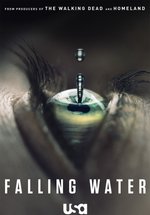 Poster Falling Water