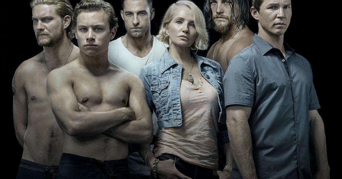 Animal Kingdom Serie · Stream · Streaminganbieter