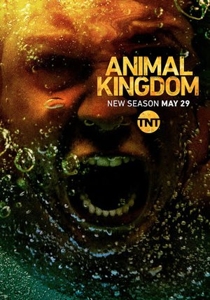 „Animal Kingdom“: Läuft die Serie im Netflix-Stream?