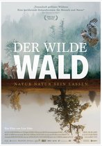 Der wilde Wald - Natur Natur sein lassen