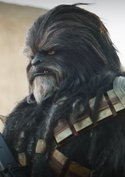Das ist der fieseste Wookie: Gelungene Überraschung für „Star Wars“-Fans