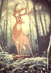 Poster Bambi 