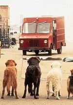 Poster Ein tierisches Trio - wieder unterwegs