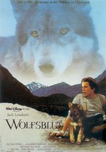 Poster Wolfsblut