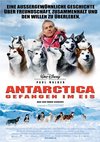 Poster Antarctica - Gefangen im Eis 