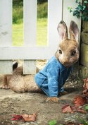 Osterhasen-Filme: 16 Filme über Hasen und Kaninchen – nicht nur zu den Feiertagen große Helden