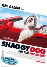 Poster Shaggy Dog - Hör mal, wer da bellt