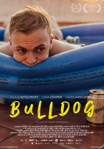 Poster Bulldog